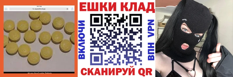 Купить закладки  Кстово  Ecstasy диски 