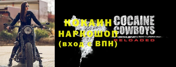 твердый Вяземский