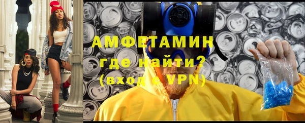 твердый Вяземский