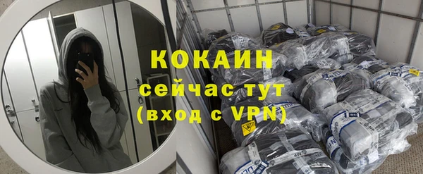 твердый Вяземский