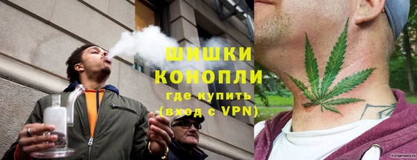 твердый Вяземский