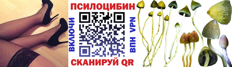 Псилоцибиновые грибы мицелий  Купить закладки  Кстово 